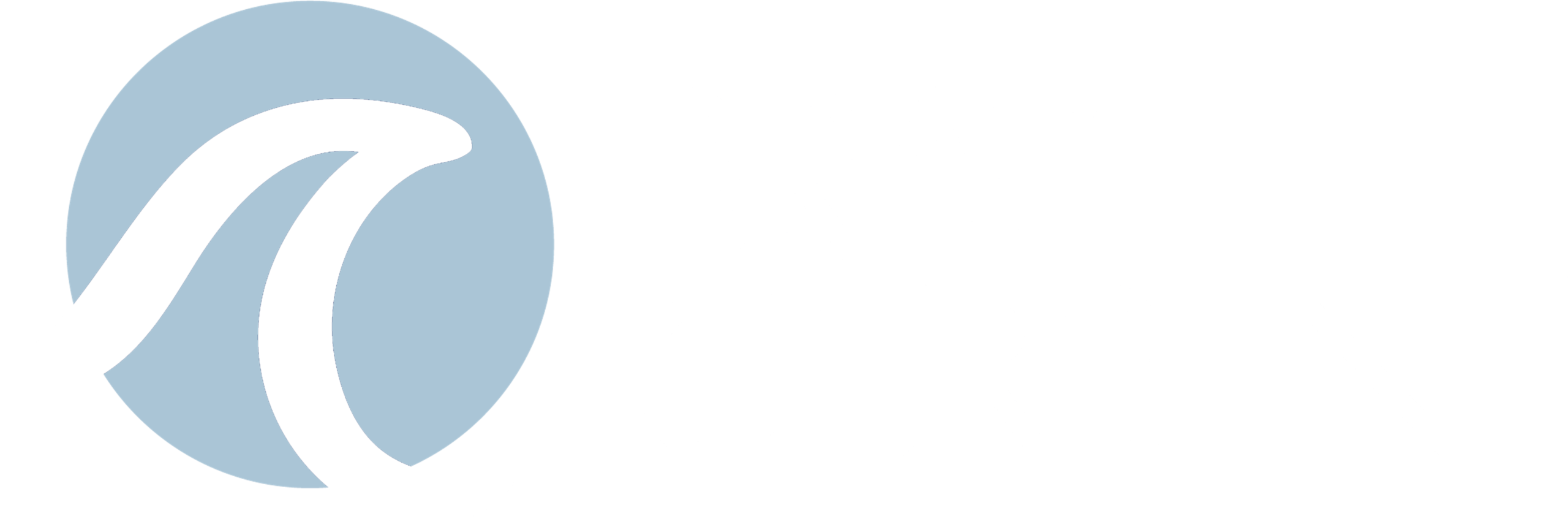 The Brave Current Logo